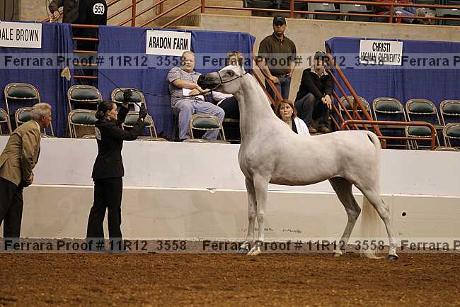 Proof 11r12_3558