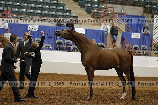 Proof 11r12_3565