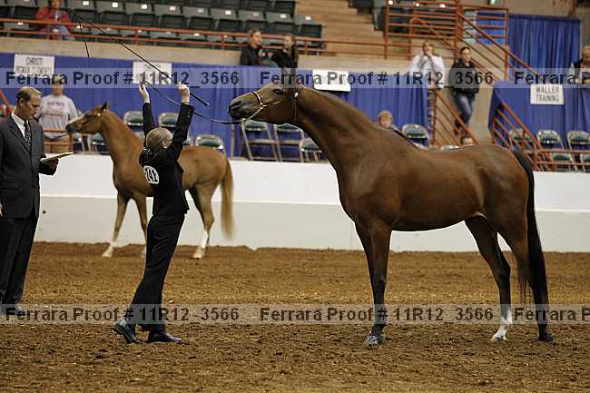Proof 11r12_3566