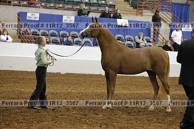 Proof 11r12_3567