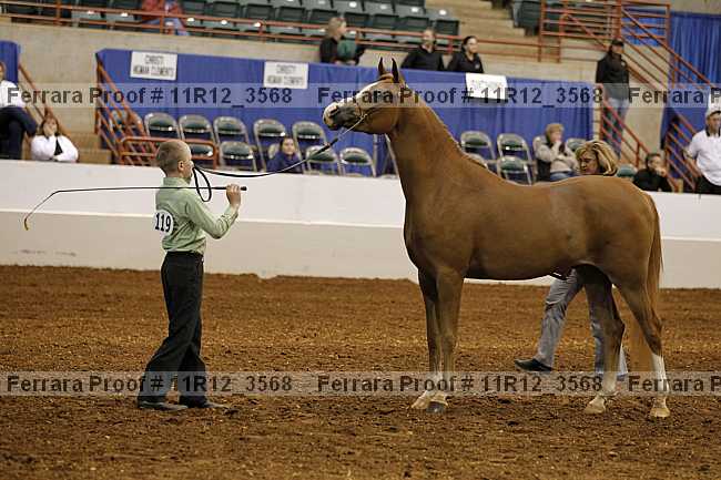 Proof 11r12_3568