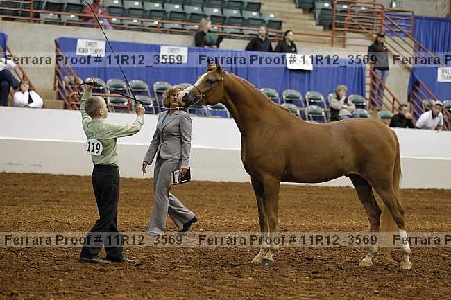 Proof 11r12_3569
