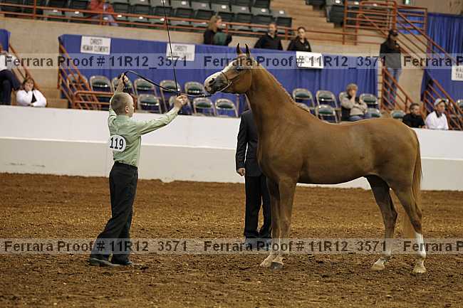 Proof 11r12_3571