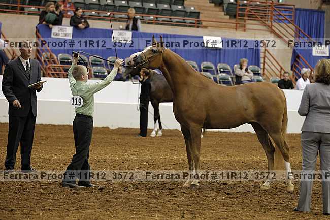 Proof 11r12_3572
