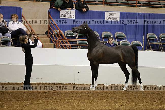 Proof 11r12_3574