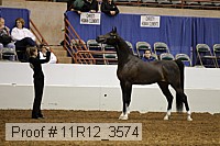 11r12_3574 proof