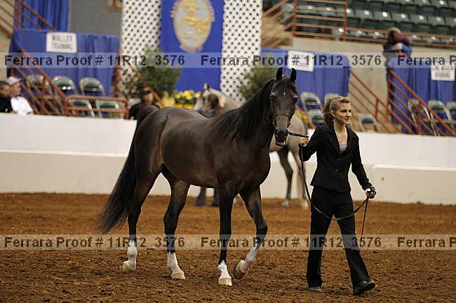 Proof 11r12_3576