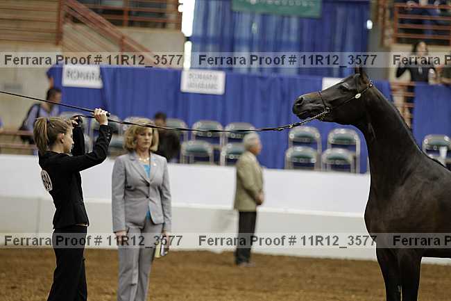 Proof 11r12_3577