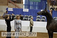 11r12_3577 proof