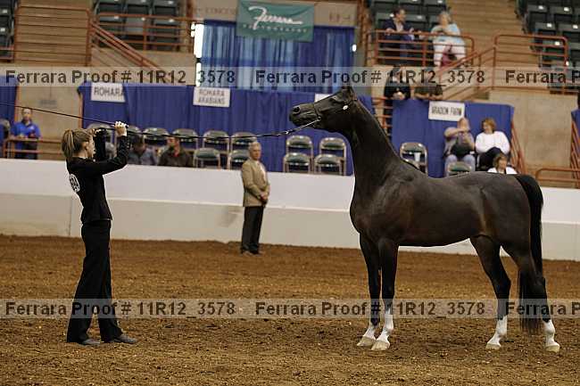 Proof 11r12_3578