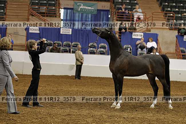Proof 11r12_3579