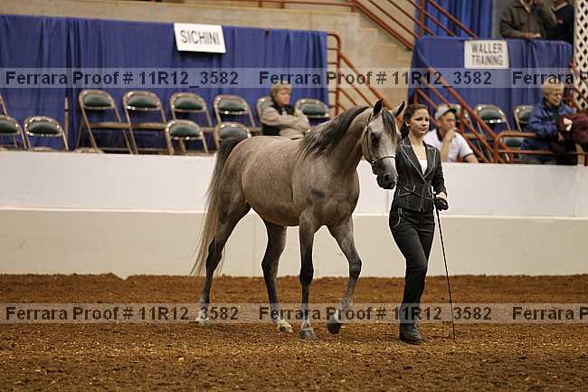 Proof 11r12_3582