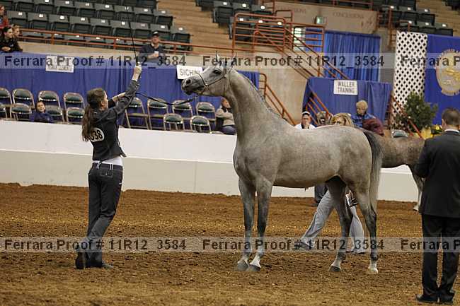 Proof 11r12_3584