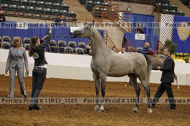 Proof 11r12_3585