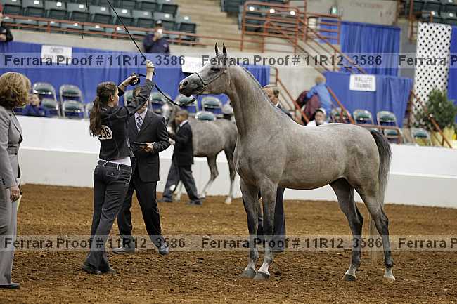 Proof 11r12_3586