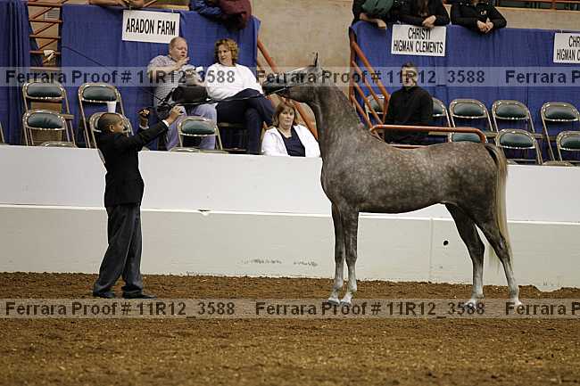 Proof 11r12_3588