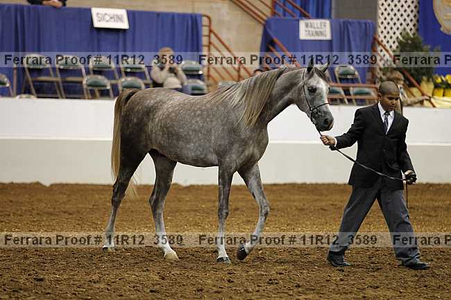 Proof 11r12_3589
