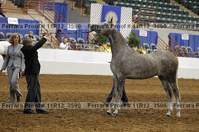 Proof 11r12_3590