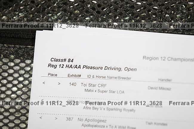 Proof 11r12_3628