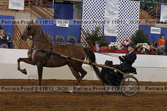 Proof 11r12_3630