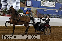 11r12_3631 proof