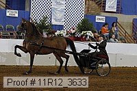 11r12_3633 proof