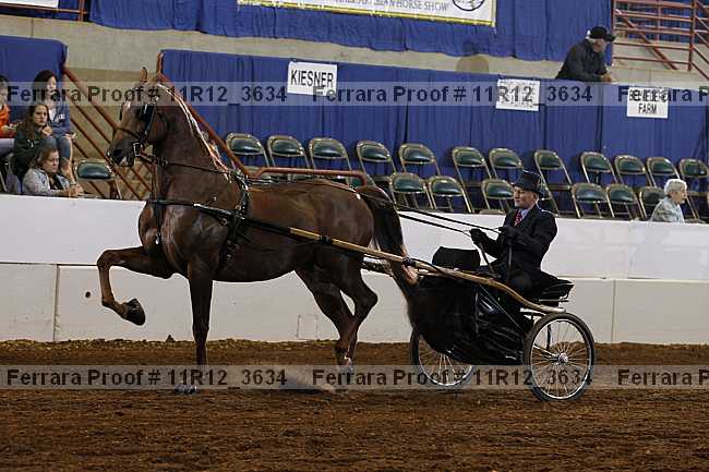 Proof 11r12_3634