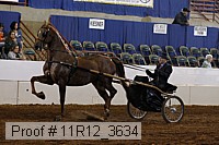11r12_3634 proof