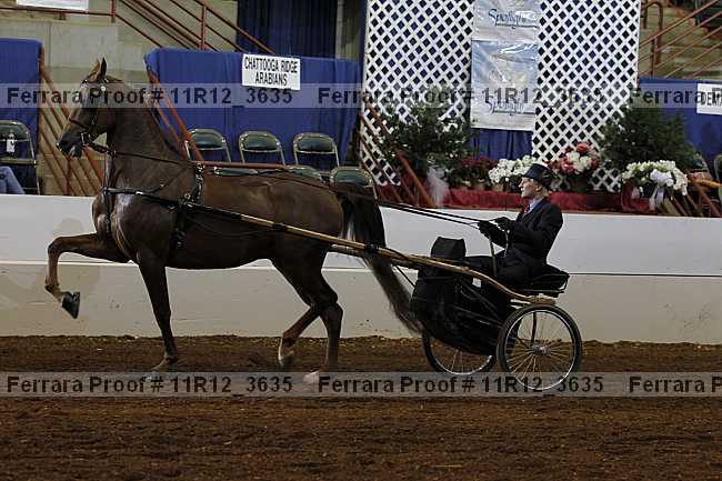 Proof 11r12_3635