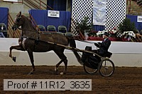 11r12_3635 proof