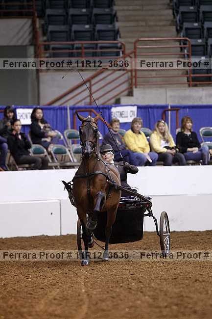 Proof 11r12_3636