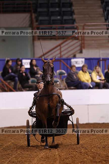 Proof 11r12_3637