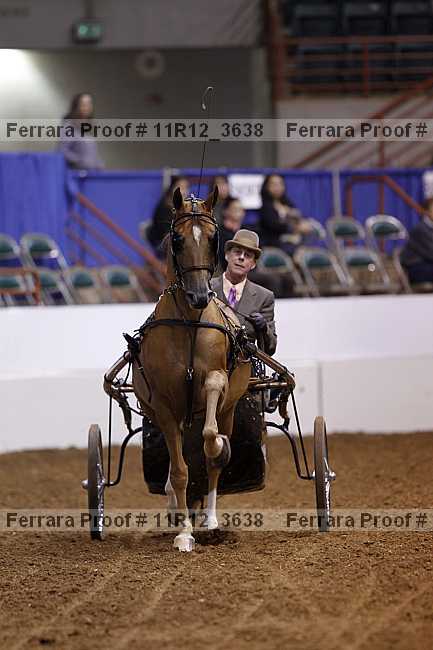 Proof 11r12_3638