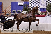 11r12_3639 proof