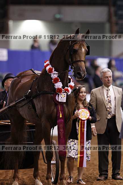 Proof 11r12_3642