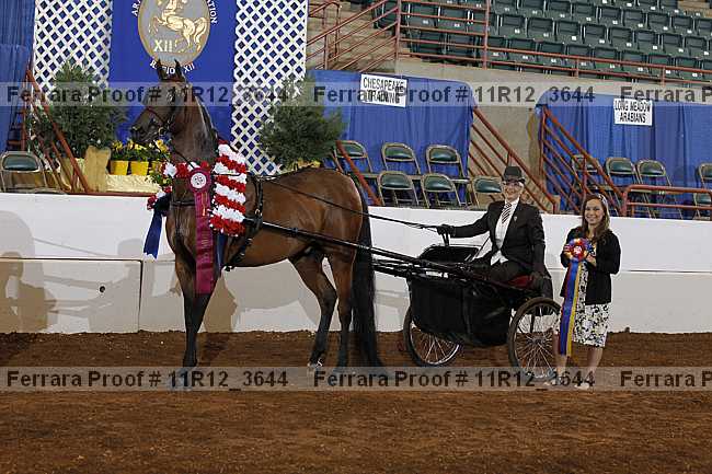 Proof 11r12_3644