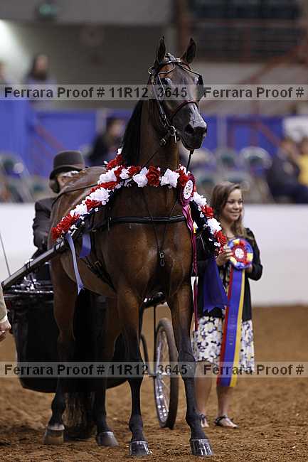 Proof 11r12_3645