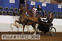 11r12_3646 proof