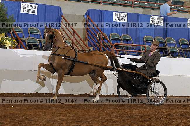 Proof 11r12_3647