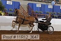 11r12_3647 proof