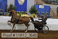 11r12_3648 proof