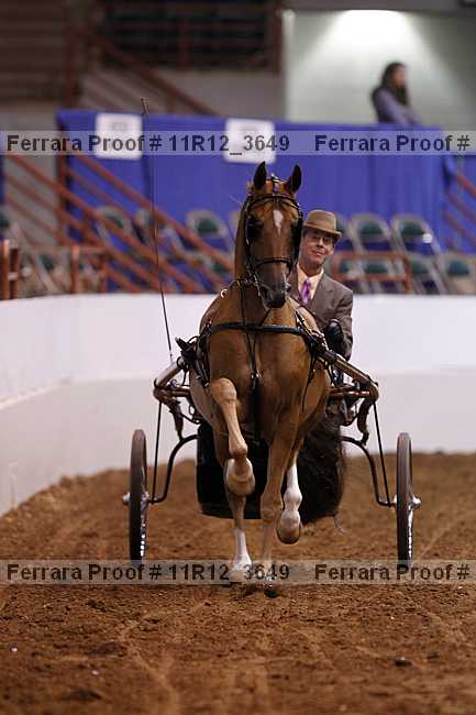 Proof 11r12_3649