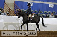 11r12_3662 proof