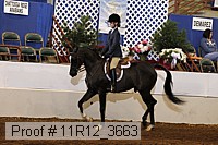 11r12_3663 proof