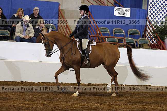Proof 11r12_3665