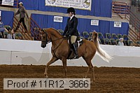 11r12_3666 proof