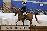 11r12_3668 proof