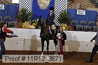 11r12_3671 proof