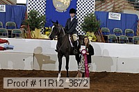 11r12_3672 proof