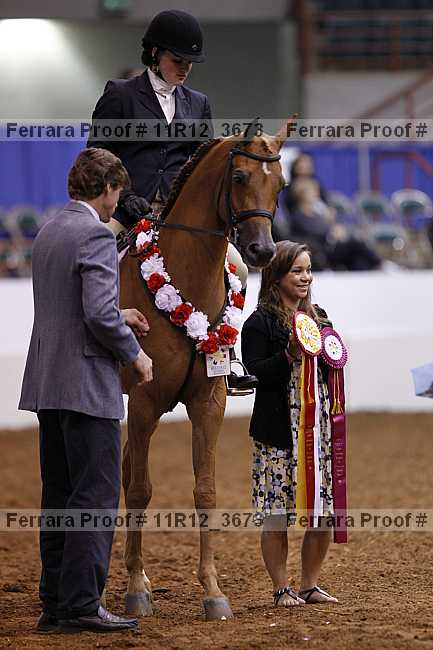 Proof 11r12_3673